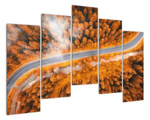 Cesta lesom - moderné obrazy na stenu (Obraz 125x90cm)