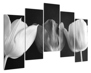 Čiernobiely obraz - tri tulipány (Obraz 125x90cm)