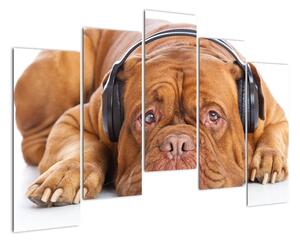 Moderný obraz - pes so slúchadlami (Obraz 125x90cm)