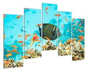 Obraz rýb v akváriami (Obraz 125x90cm)