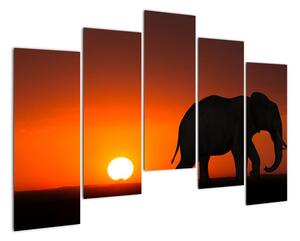 Obraz slona v zapadajúcom slnku (Obraz 125x90cm)