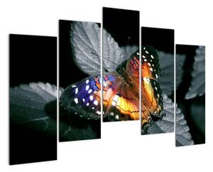 Motýľ na liste - obraz (Obraz 125x90cm)