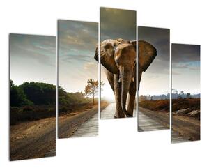 Obraz kráčajúceho slona (Obraz 125x90cm)