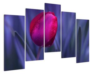 Obraz - tulipán (Obraz 125x90cm)