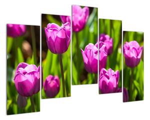 Obraz kvitnúcich tulipánov (Obraz 125x90cm)