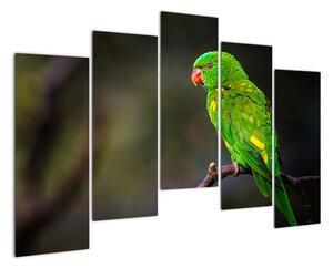 Obraz zeleného papagája (Obraz 125x90cm)