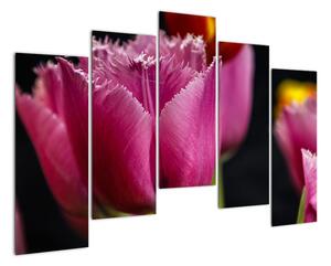 Tulipány - obrazy (Obraz 125x90cm)