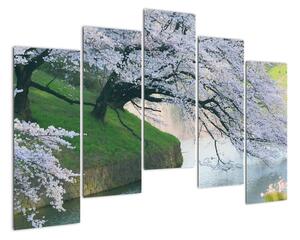 Obraz kvitnúcich stromov (Obraz 125x90cm)