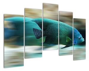 Obraz na stenu - ryby (Obraz 125x90cm)