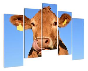 Obraz kravy (Obraz 125x90cm)