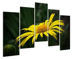 Obraz žltého kvetu (Obraz 125x90cm)
