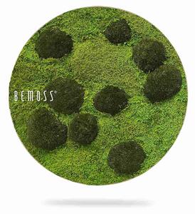 Machový obraz kruh FLATMOSS & BOLMOSS Peva - Priemer 40 cm