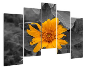 Obraz oranžového kvetu (Obraz 125x90cm)