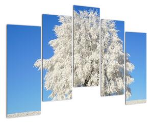 Zasnežený strom - obraz (Obraz 125x90cm)