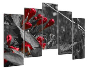 Červené kvety - moderné obrazy (Obraz 125x90cm)