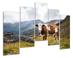 Obraz kravy na lúke (Obraz 125x90cm)