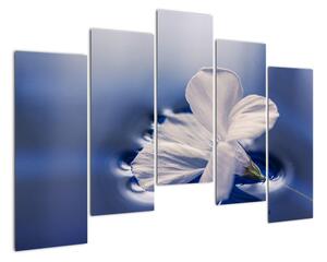 Obraz bieleho kvetu vo vode (Obraz 125x90cm)
