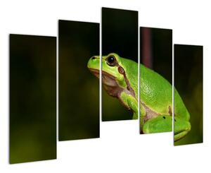 Obraz žaby (Obraz 125x90cm)