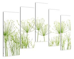 Obraz rastlín na bielom pozadí (Obraz 125x90cm)