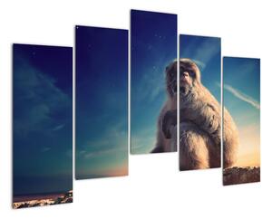 Obraz opice - obrazy zvierat (Obraz 125x90cm)