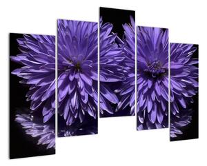 Obraz fialových kvetov (Obraz 125x90cm)