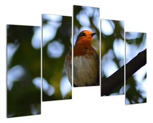 Obraz vtáka na vetve (Obraz 125x90cm)