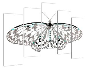 Čiernobiely motýľ (Obraz 125x90cm)