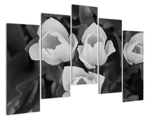 Čiernobiele kvety (Obraz 125x90cm)