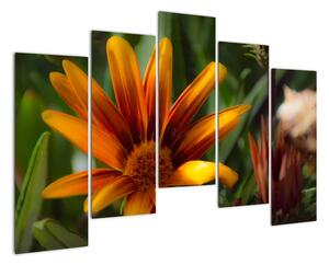 Obraz detailu kvety (Obraz 125x90cm)