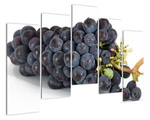 Obraz s hroznovým vínom (Obraz 125x90cm)