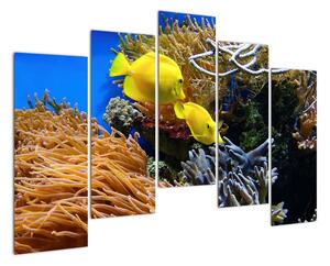 Podmorský svet - obraz (Obraz 125x90cm)