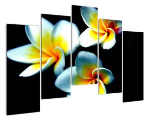 Obraz kvety (Obraz 125x90cm)