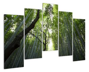 Obraz lesov (Obraz 125x90cm)