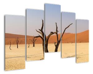 Obraz púšte (Obraz 125x90cm)