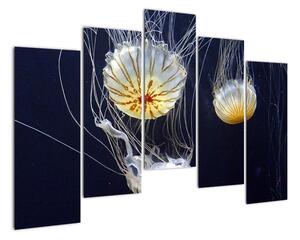 Obraz - medúzy (Obraz 125x90cm)