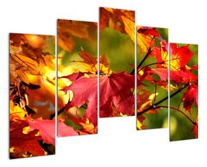 Jesenné lístie, obraz (Obraz 125x90cm)