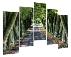 Údolie stromov, obrazy (Obraz 125x90cm)