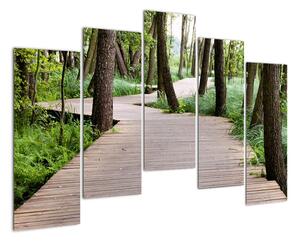 Cesta v lese - obraz (Obraz 125x90cm)