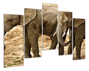 Slon, obraz (Obraz 125x90cm)