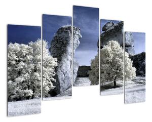 Zimná krajina - obraz do bytu (Obraz 125x90cm)
