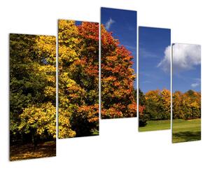 Jesenné stromy - obraz do bytu (Obraz 125x90cm)
