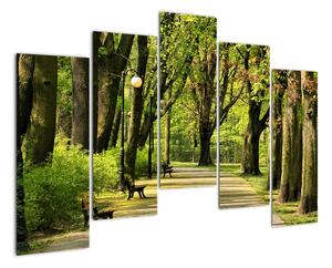Cesta v parku - obraz (Obraz 125x90cm)