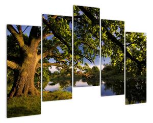Obrázok stromu - moderné obrazy (Obraz 125x90cm)