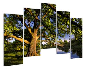Obraz stromu (Obraz 125x90cm)