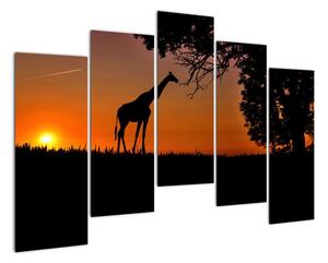 Obraz žirafy v prírode (Obraz 125x90cm)
