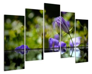 Modrá kvetina - obraz (Obraz 125x90cm)