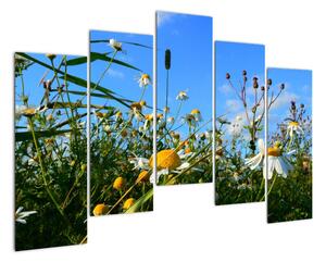 Obraz lúčnych kvetov (Obraz 125x90cm)