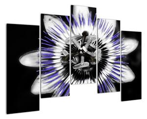 Obrazy kvetov (Obraz 125x90cm)
