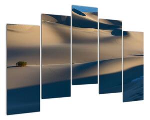 Púšť - obraz (Obraz 125x90cm)