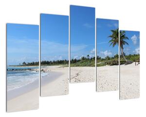 Exotická pláž - obraz (Obraz 125x90cm)